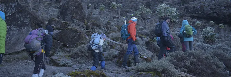 Barranco Camp To Karanga Camp